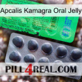 Apcalis Kamagra Oral Jelly new04